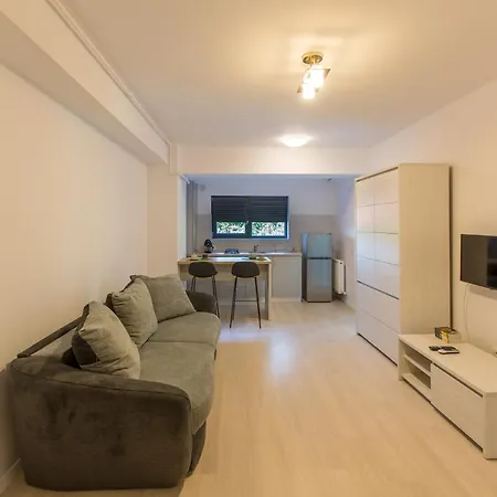Andrei Mamaia Nord Apartament